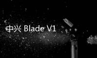 中興 Blade V10刷機(jī)包下載，卡刷包recovery刷機(jī)教程