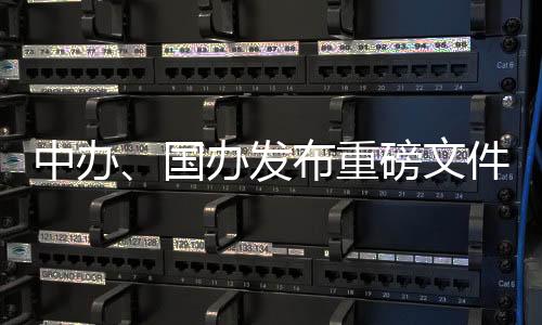 中辦、國辦發布重磅文件！涉及醫藥招采、原料藥壟斷……