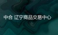 中合 遼寧商品交易中心有限公司(關(guān)于中合 遼寧商品交易中心有限公司簡(jiǎn)述)