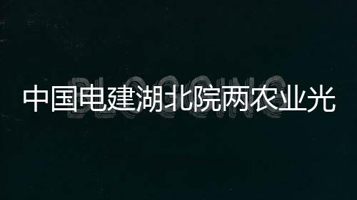 中國電建湖北院兩農業光伏項目通過可研評估,行業資訊