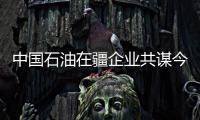 中國(guó)石油在疆企業(yè)共謀今冬北疆用氣大計(jì)