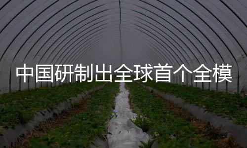 中國研制出全球首個全模擬光電智能計算芯片