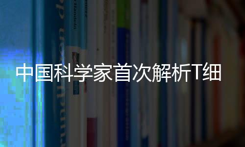 中國科學(xué)家首次解析T細胞受體復(fù)合物結(jié)構(gòu)—新聞—科學(xué)網(wǎng)