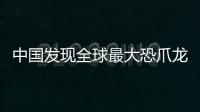 中國發現全球最大恐爪龍類足跡 推測造跡者體長至少5米