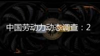 中國勞動力動態調查：2013年報告(關于中國勞動力動態調查：2013年報告簡述)