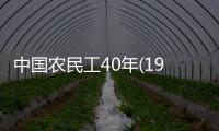 中國農(nóng)民工40年(1978—2018)(關(guān)于中國農(nóng)民工40年(1978—2018)簡述)