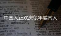 中國(guó)人正歡慶兔年越南人在過(guò)貓年 這是什么情況？