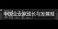 中國企業(yè)家成長與發(fā)展報告 下(關(guān)于中國企業(yè)家成長與發(fā)展報告 下簡述)