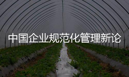 中國企業規范化管理新論(關于中國企業規范化管理新論簡述)