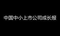 中國中小上市公司成長報告(關于中國中小上市公司成長報告簡述)