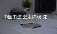 中國書道·藝術陣線 沈寧卷(關于中國書道·藝術陣線 沈寧卷簡述)