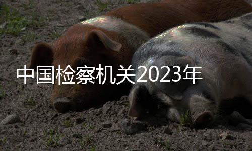 中國檢察機關2023年立案辦理公益訴訟案件19萬件