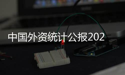 中國外資統計公報2020(關于中國外資統計公報2020簡述)