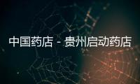 中國藥店－貴州啟動藥店電子監管試點項目培訓工作