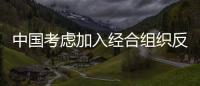 中國(guó)考慮加入經(jīng)合組織反腐工作組