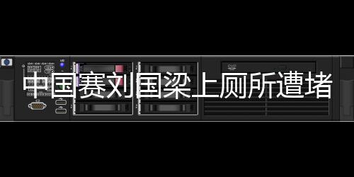 中國賽劉國梁上廁所遭堵截 王勵勤福原愛PK陶喆