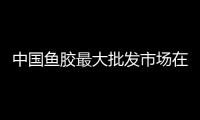 中國魚膠最大批發市場在什么地方