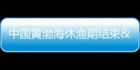 中國黃渤海休漁期結束 大連海域進入秋捕季