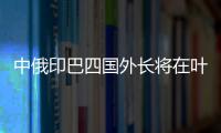 中俄印巴四國外長將在葉卡討論能源安全問題