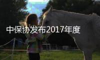 中保協發布2017年度十大風險管理案例