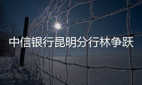 中信銀行昆明分行林爭躍、解鵬兩干部被查
