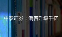 中泰證券：消費升級千億賽道乘用車座椅迎來本土破局黃金窗口