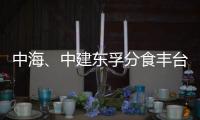 中海、中建東孚分食豐臺“雙子地塊” 新房或超9萬元/平米