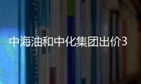 中海油和中化集團(tuán)出價(jià)30億美元將投標(biāo)巴西油田