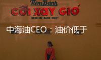 中海油CEO：油價低于30美元公司會非常困難