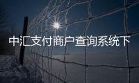 中匯支付商戶查詢系統下載（中匯支付商戶查詢系統）