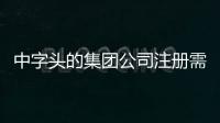 中字頭的集團公司注冊需要什么要求