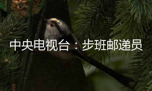 中央電視臺:步班郵遞員曹正富