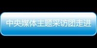 中央媒體主題采訪團(tuán)走進(jìn)鎮(zhèn)雄