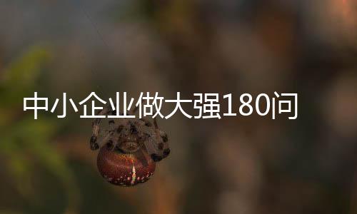 中小企業做大強180問(關于中小企業做大強180問簡述)