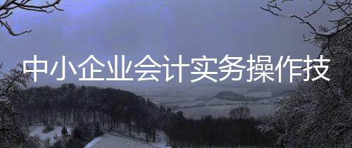 中小企業(yè)會計(jì)實(shí)務(wù)操作技巧(關(guān)于中小企業(yè)會計(jì)實(shí)務(wù)操作技巧簡述)