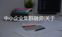 中小企業(yè)集群融資(關于中小企業(yè)集群融資簡述)