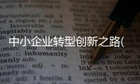 中小企業(yè)轉(zhuǎn)型創(chuàng)新之路(關(guān)于中小企業(yè)轉(zhuǎn)型創(chuàng)新之路簡述)