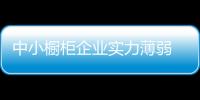 中小櫥柜企業實力薄弱 加強營銷優勢方能取勝