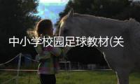 中小學校園足球教材(關于中小學校園足球教材簡述)