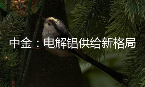 中金：電解鋁供給新格局正在形成行業有望迎來配置機遇