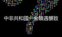 中非共和國一金礦遇襲致中國公民9死2傷　中使館：立刻撤離