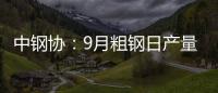 中鋼協：9月粗鋼日產量同比降21.2%