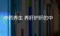 中藥養生 養肝護肝的中藥有哪些