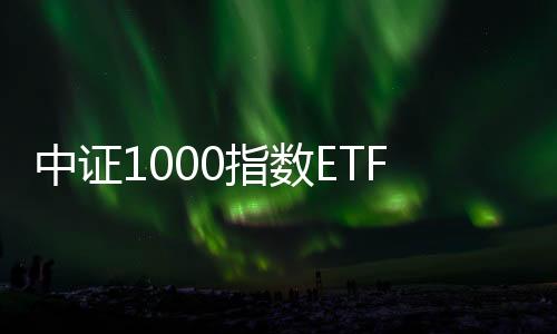 中證1000指數(shù)ETF今日合計(jì)成交額55.58億元，環(huán)比增加31.37%