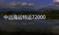 中遠海運特運72000噸多用途船交付