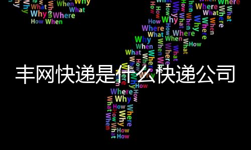 豐網快遞是什么快遞公司（豐網速運和順豐區別）