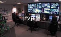 豐收在望
