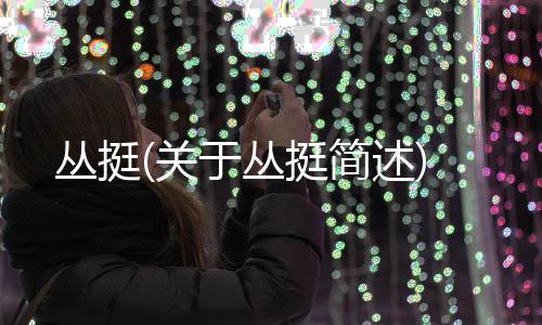 叢挺(關于叢挺簡述)