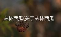 叢林西瓜(關(guān)于叢林西瓜簡(jiǎn)述)