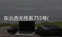 東北杏無性系755號(hào)(關(guān)于東北杏無性系755號(hào)簡(jiǎn)述)